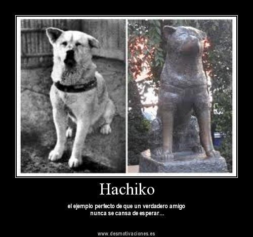 hachiko2